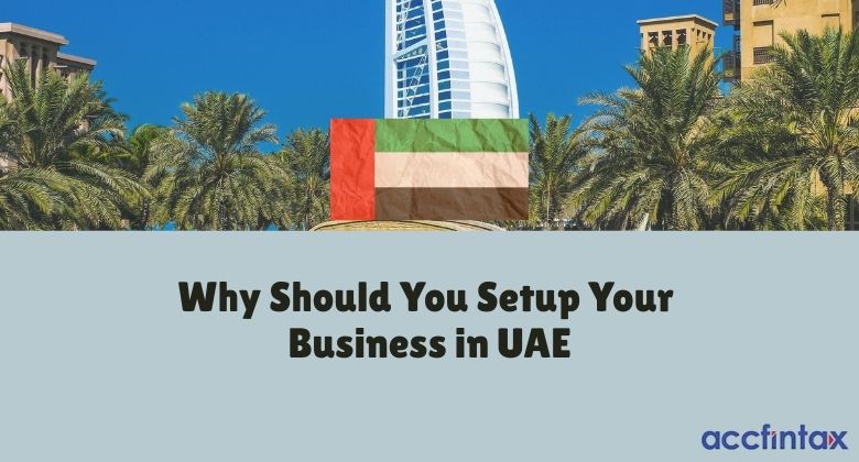 Why Should You Setup Your Business in UAE, Business Setup in UAE - Accfintax UAE