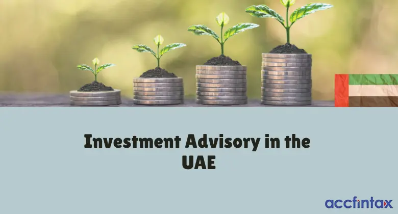 Investment Advisory - Accfintax